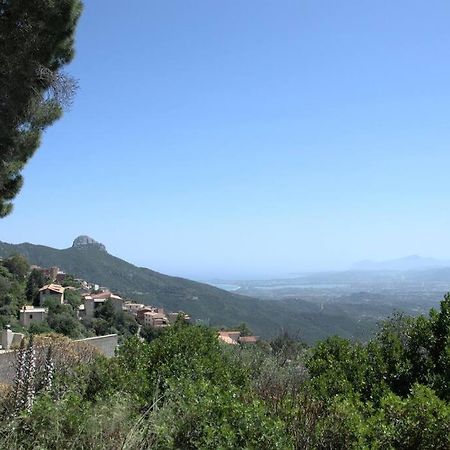 Montecolcau Panoramic View Daire Baunei Dış mekan fotoğraf
